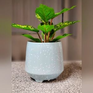 Ceramic planter